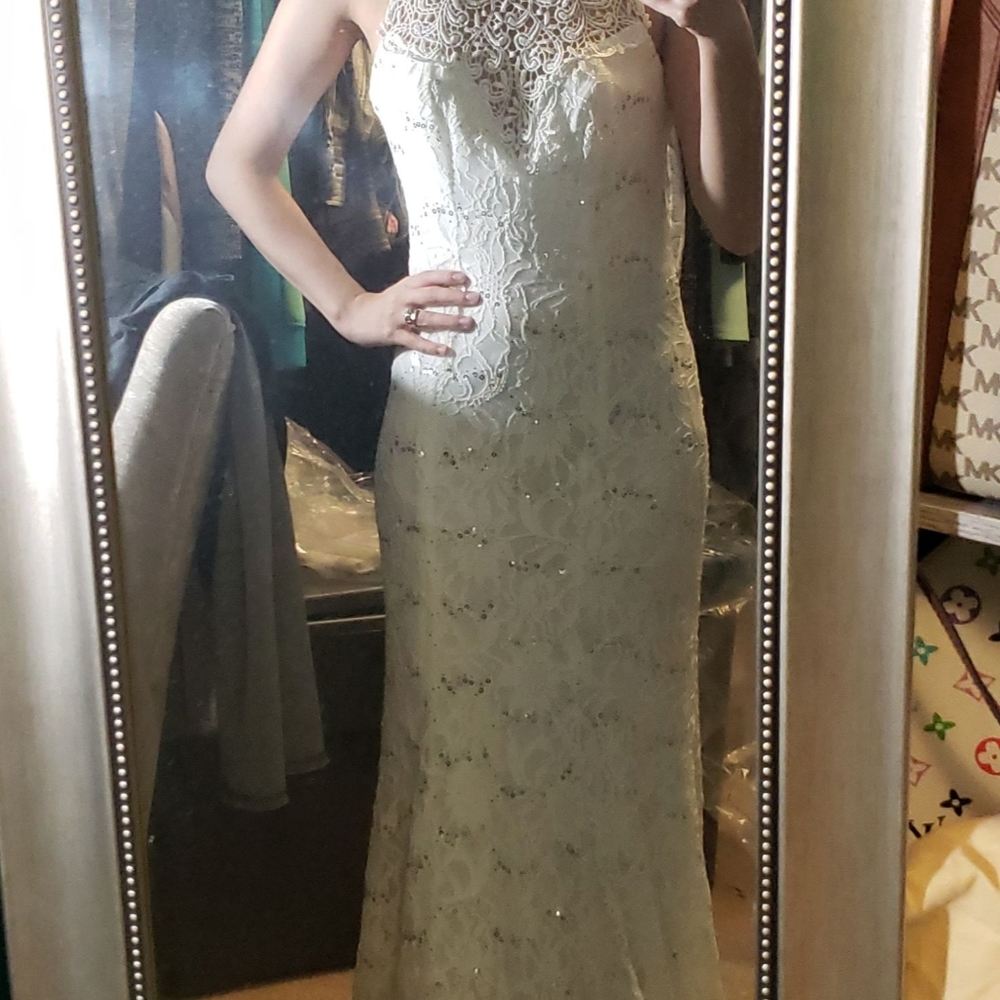 LACE PROM/BRIDAL DRESS - Picture 5 of 12